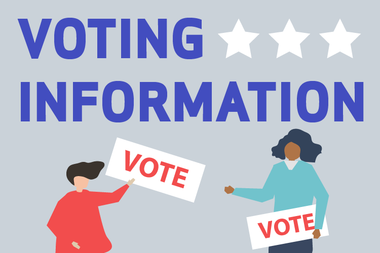 Voting Information