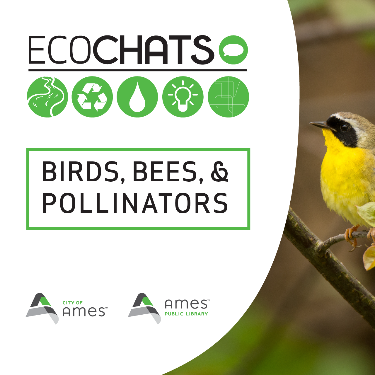 EcoChats: Birds, Bees, & Pollinators