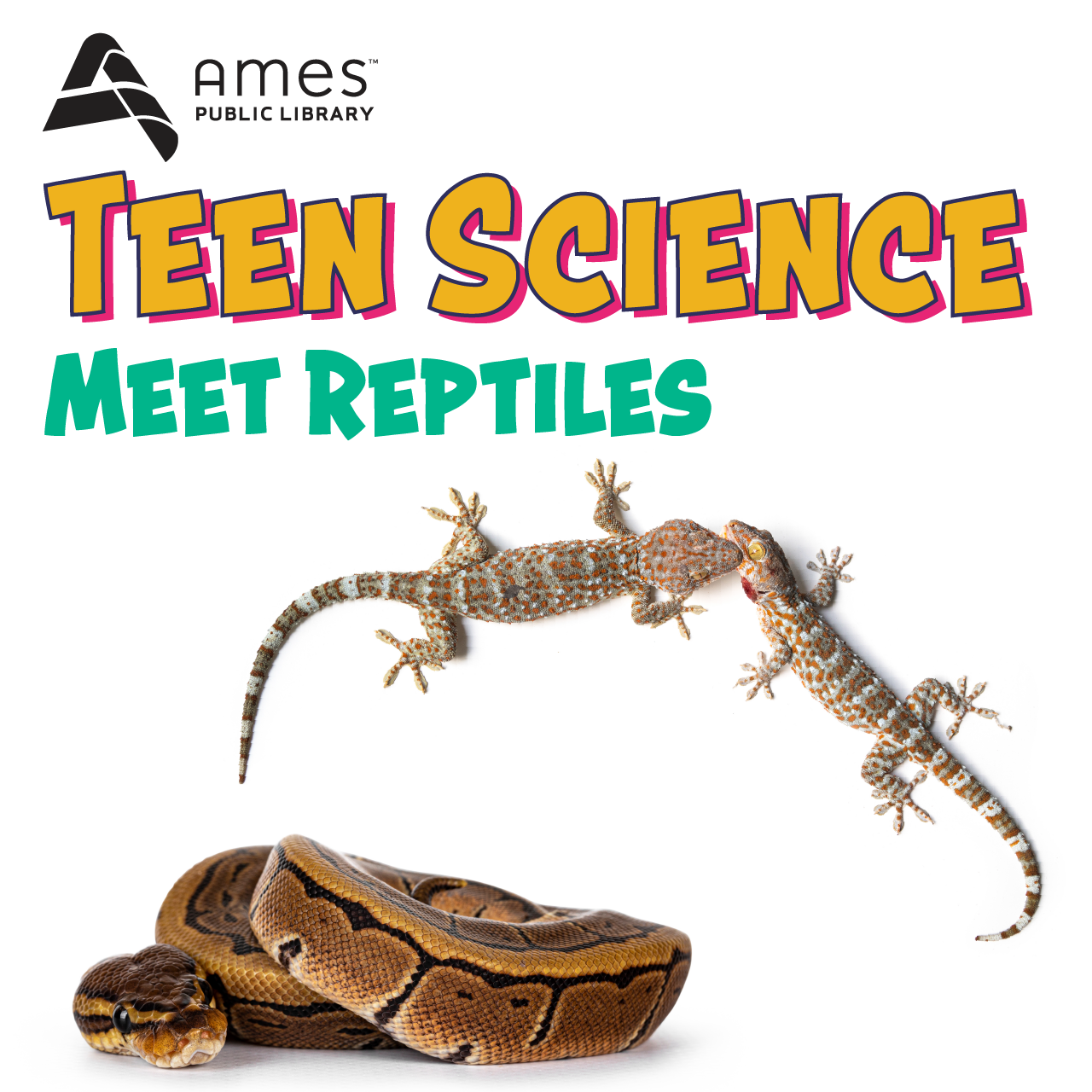 Teen Science: Meet Reptiles