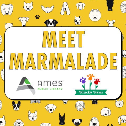 Meet Marmalade