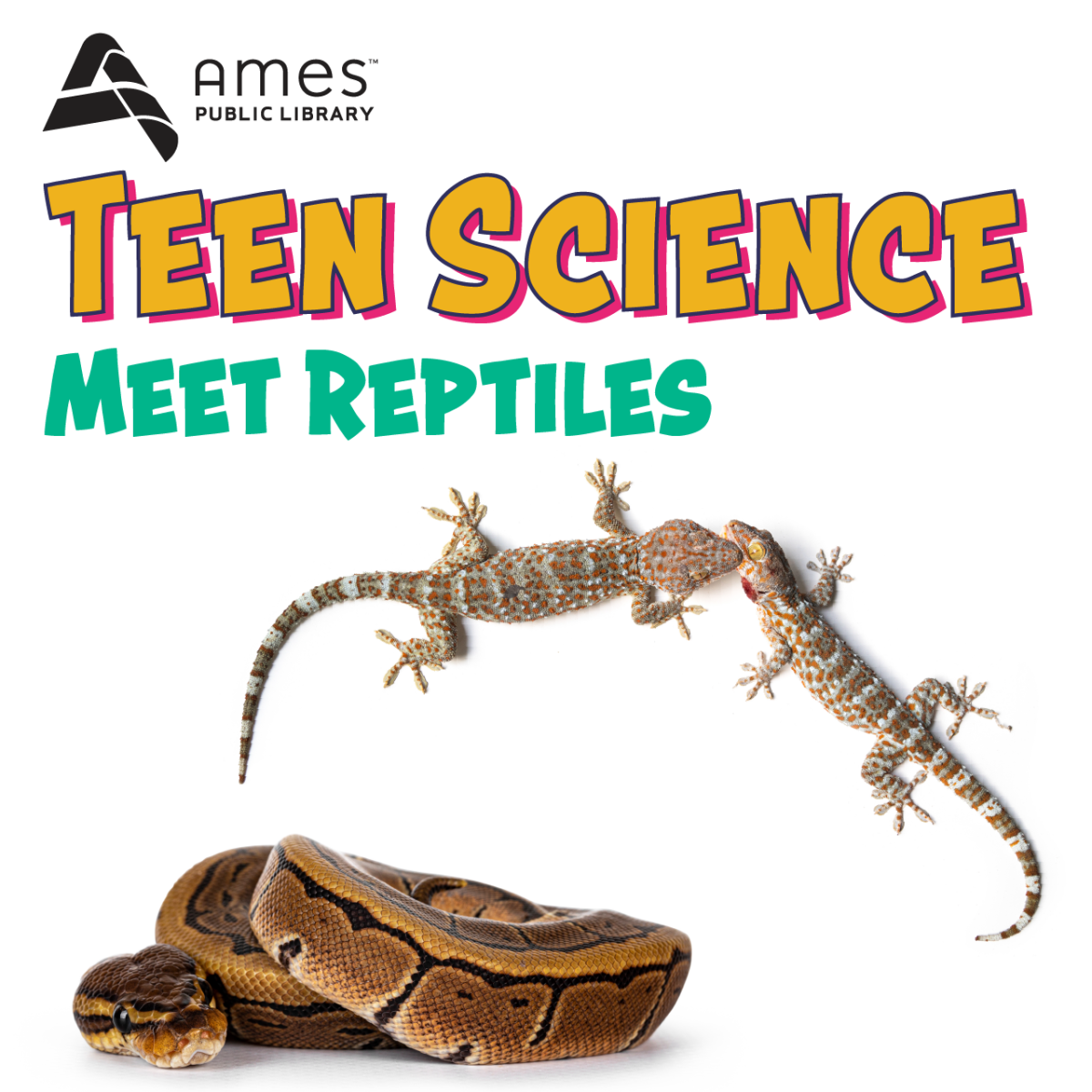 Teen Science: Meet Reptiles