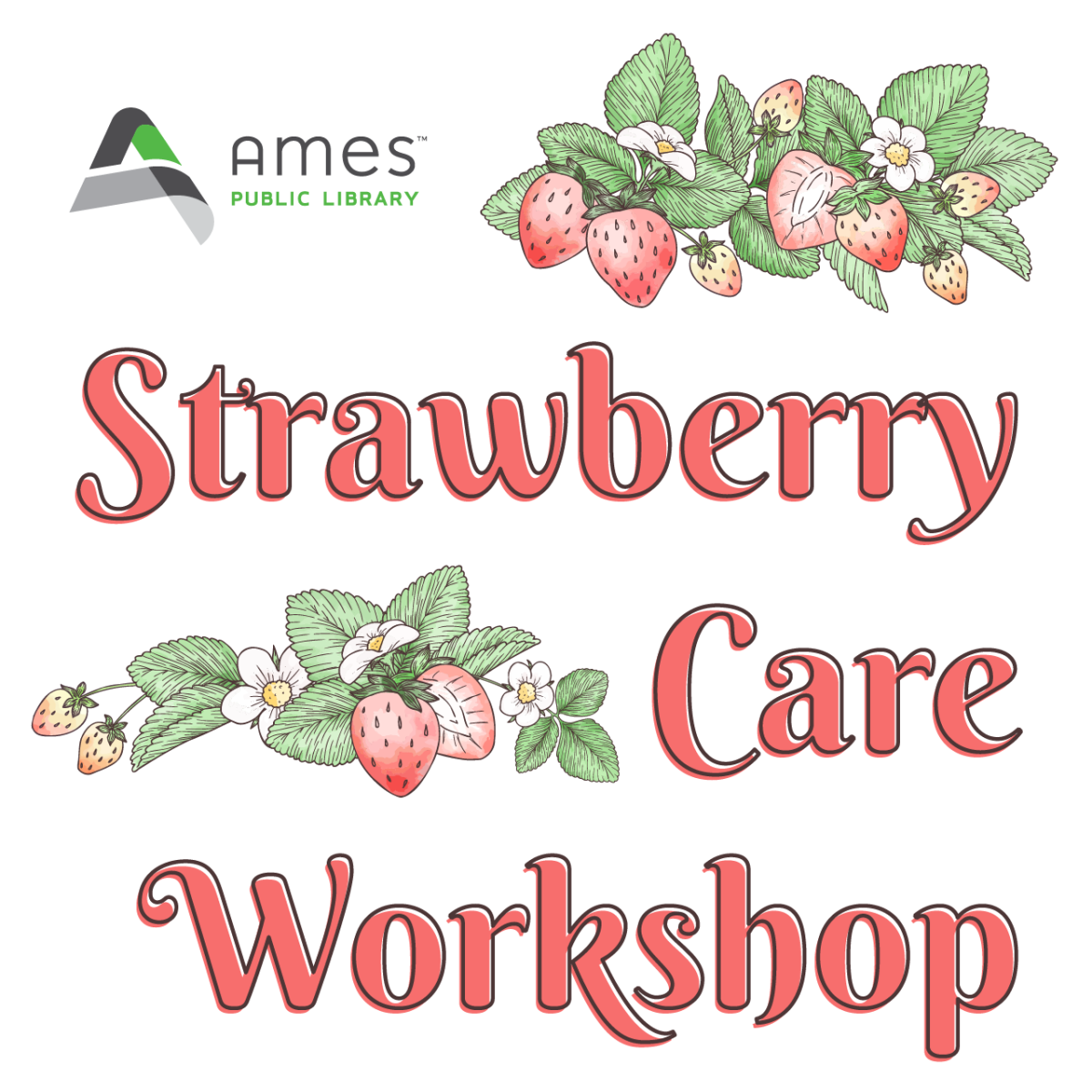 Strawberry Care Workshop