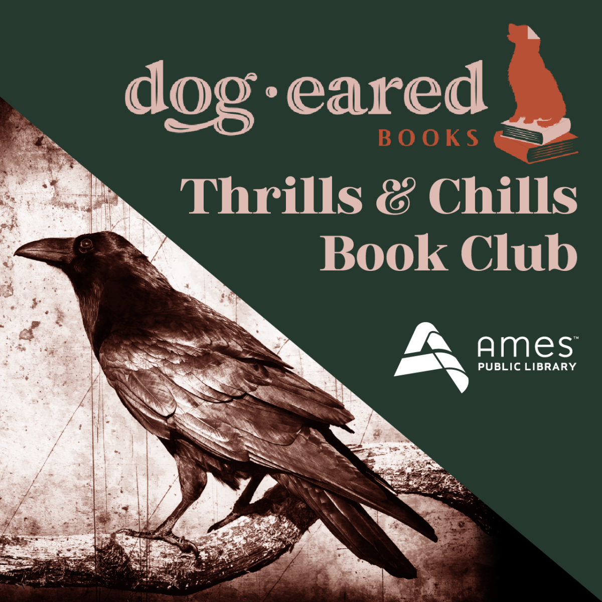 Dog-Eared Books Thrills & Chills Book Club