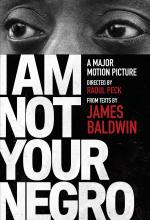 I Am Not Your Negro movie cover